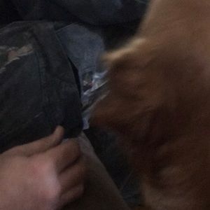 Meet your Posher, Fred